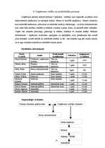 Biznesa plāns 'Biznesa plāns', 16.