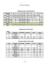 Biznesa plāns 'Biznesa plāns', 18.