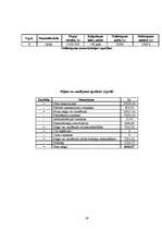 Biznesa plāns 'Biznesa plāns', 19.