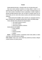 Referāts 'Noziedzība jauniešu vidū un tās cēloņi Saldus rajonā', 3.