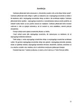 Referāts 'Noziedzība jauniešu vidū un tās cēloņi Saldus rajonā', 23.