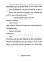 Referāts 'Sporta traumas', 6.