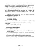 Referāts 'Sporta traumas', 8.