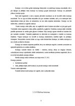 Referāts 'Sporta traumas', 9.