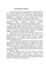 Konspekts 'Traumatiskais šoks', 6.