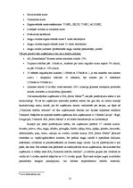 Biznesa plāns 'Mācību centra biznesa plāns', 13.