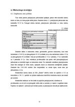 Biznesa plāns 'Mācību centra biznesa plāns', 16.