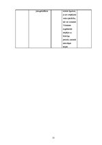 Biznesa plāns 'Mācību centra biznesa plāns', 25.