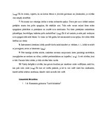 Konspekts 'J.A.Komenska grāmata "Lielā didaktika"', 2.