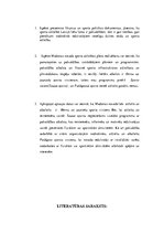 Konspekts 'Sporta attīstība novadā', 13.