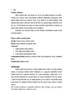 Prakses atskaite 'Pedagoģiskās prakses dienasgrāmata', 7.