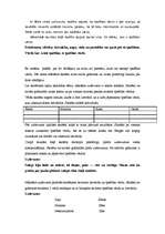 Prakses atskaite 'Pedagoģiskās prakses dienasgrāmata', 8.