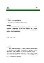 Prakses atskaite 'Pedagoģiskās prakses dienasgrāmata', 11.