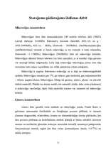 Referāts 'Radioaktīvo starojumu loma cilvēku dzīvē', 11.