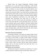 Referāts 'Radioaktīvo starojumu loma cilvēku dzīvē', 12.