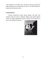 Referāts 'Radioaktīvo starojumu loma cilvēku dzīvē', 20.