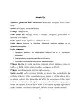 Referāts 'Radioaktīvo starojumu loma cilvēku dzīvē', 23.