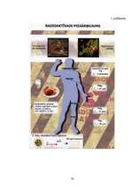 Referāts 'Radioaktīvo starojumu loma cilvēku dzīvē', 26.