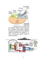 Referāts 'Radioaktīvo starojumu loma cilvēku dzīvē', 34.
