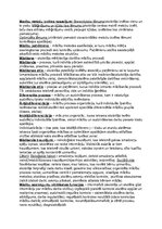 Konspekts 'Didaktika. Jēdzieni', 4.