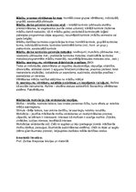 Konspekts 'Didaktika. Jēdzieni', 5.