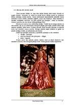 Referāts 'Baroka, rokoko un klasicisma mode', 6.