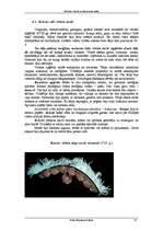 Referāts 'Baroka, rokoko un klasicisma mode', 19.