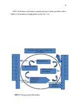 Diplomdarbs 'Pārtikas un veterinārā dienesta darbības pilnveide', 19.