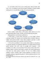 Diplomdarbs 'Pārtikas un veterinārā dienesta darbības pilnveide', 85.