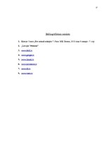 Referāts 'Transportlīdzekļu ikgadējā nodeva', 17.