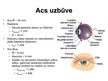 Prezentācija 'Cilvēka acs uzbūve un darbība', 3.
