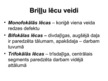 Prezentācija 'Cilvēka acs uzbūve un darbība', 24.