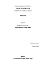 Eseja 'Kultūras jēdziens un dažādības jēdziens', 1.