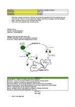 Prezentācija 'Konspekts bioloģijā eksāmeniem', 3.