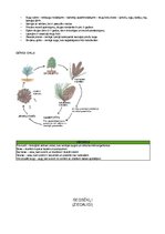 Prezentācija 'Konspekts bioloģijā eksāmeniem', 11.