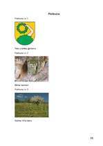 Referāts 'Talsu novads', 11.