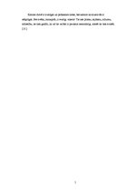 Referāts 'Manas ģimenes tradīcijas', 5.