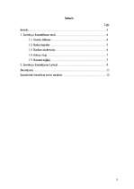 Referāts 'Inovācijas finansēšanas veidi', 2.