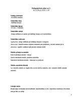 Paraugs 'Pedagoģiskais darbs', 8.