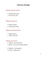 Paraugs 'Pedagoģiskais darbs', 11.