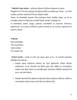 Paraugs 'Pedagoģiskais darbs', 17.