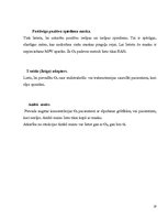 Paraugs 'Pedagoģiskais darbs', 19.