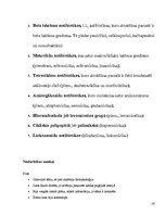 Paraugs 'Pedagoģiskais darbs', 26.