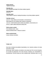 Paraugs 'Pedagoģiskais darbs', 28.