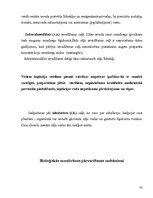 Paraugs 'Pedagoģiskais darbs', 33.