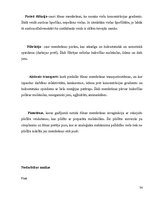 Paraugs 'Pedagoģiskais darbs', 34.