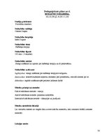 Paraugs 'Pedagoģiskais darbs', 36.