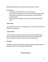 Paraugs 'Pedagoģiskais darbs', 40.