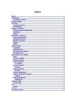 Konspekts 'ASV policija', 1.