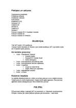 Konspekts 'ASV policija', 2.